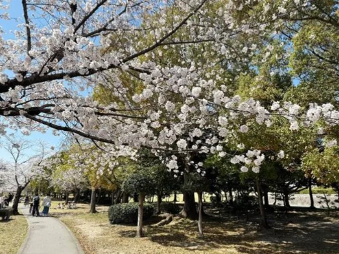 落合公園