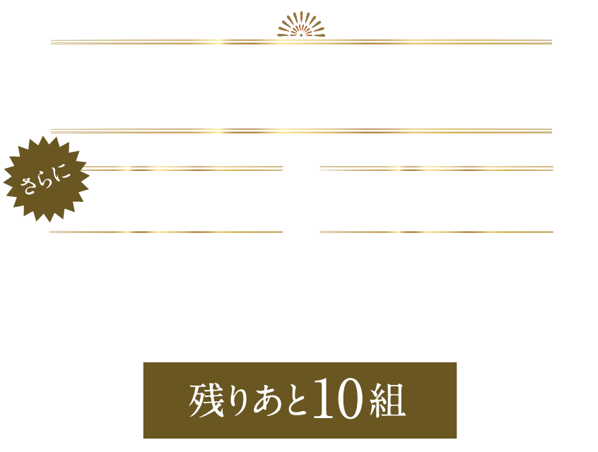 100万円分のオプション照明+LDKエアコンpresent残りあと15組